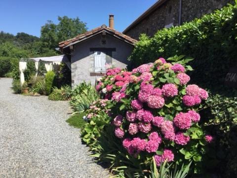 Loft Atypique Bed and Breakfast Villeneuve-de-Rivière Exteriör bild
