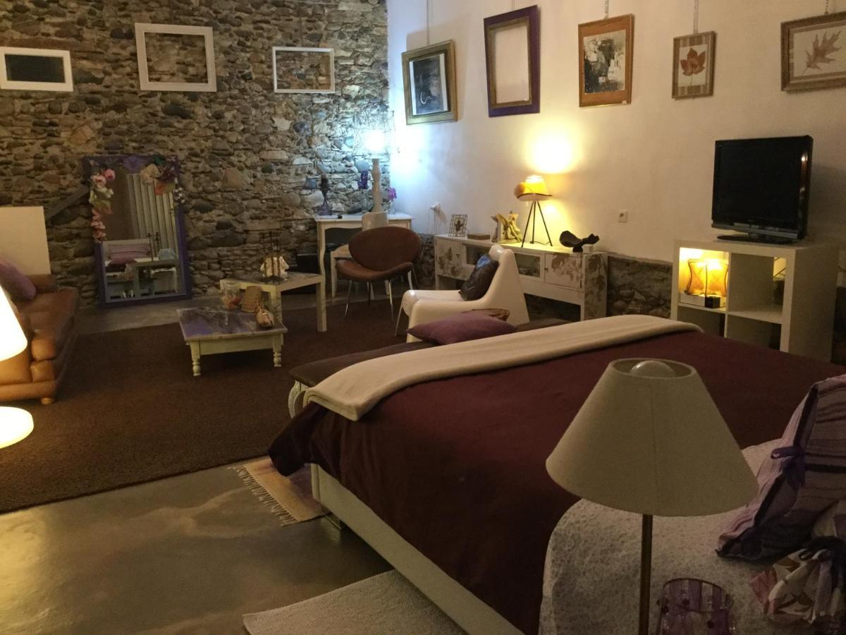 Loft Atypique Bed and Breakfast Villeneuve-de-Rivière Exteriör bild